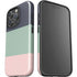 Striped Spring Colors iPhone 16 Pro Max Impact Case